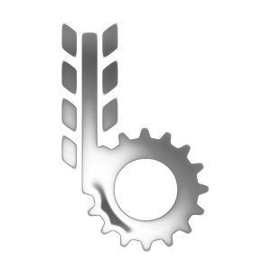 basak-v-lizing logo