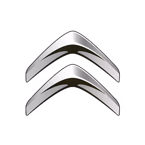 sitroen-v-lizynh logo