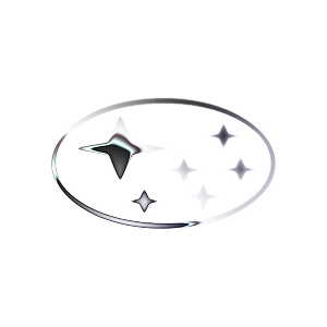 subaru-v-lizing logo