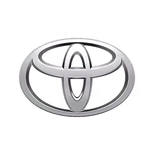 toyota-v-lizyng logo